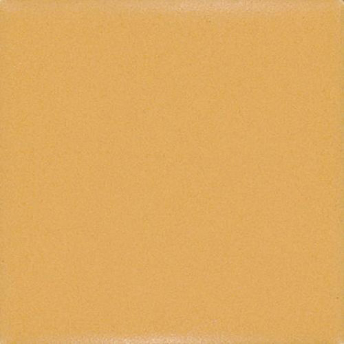 Mustard D181 